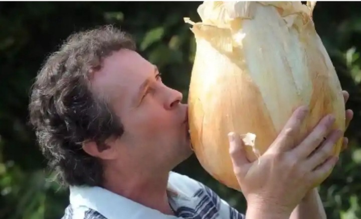 Have You Ever Seen The World Biggest Onion? - See Photos Of The Biggest Onion Ever - Opera News