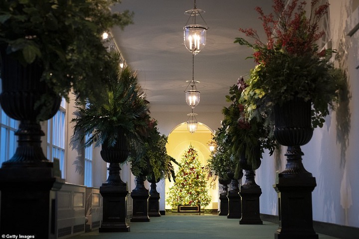 Melania Trump unveils White House Christmas decorations for the last time as US first lady (Photos/Video)