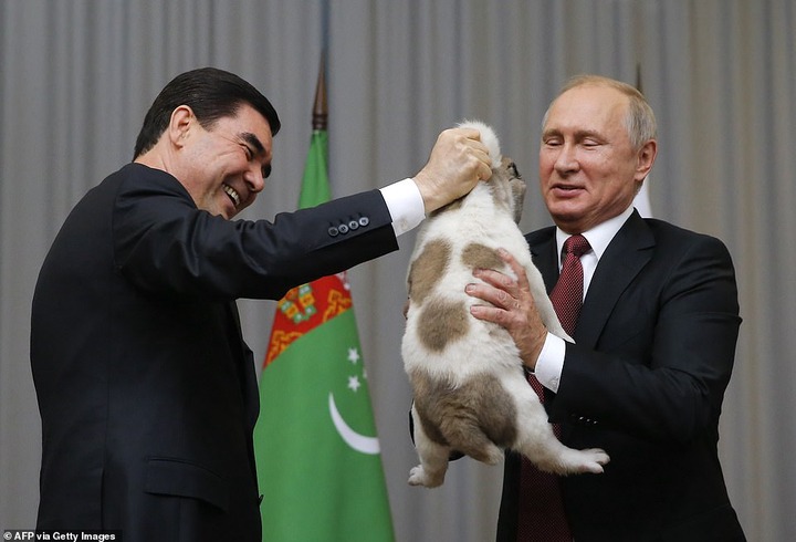 Turkmenistan president, Gurbanguly Berdimuhamedow unveils massive golden statue of his favourite dog breed in the country