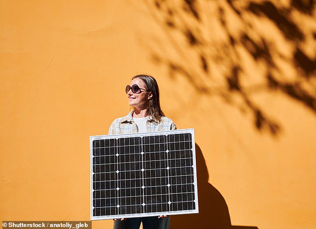 Plug-in panels won't save you huge amounts but, with the cost of installation falling and the cost of energy rising, they are fast becoming cost-effective