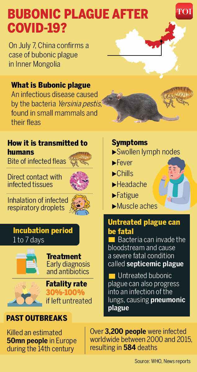 what is bubonic plague?