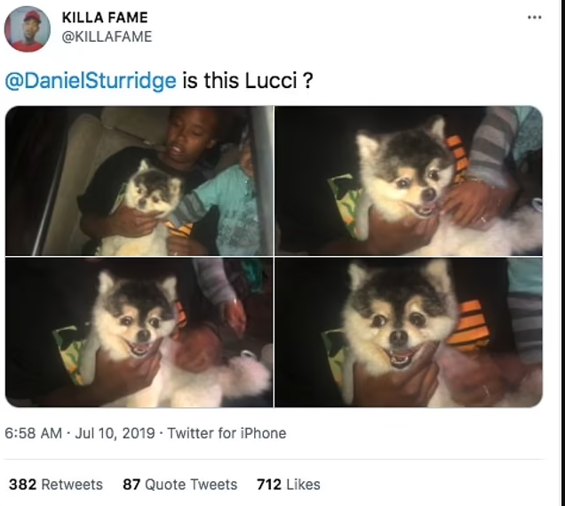 Update: Footballer, Daniel Sturridge is being sued for failing to pay ?26,000 reward to man who found his lost Pomeranian dog in Los Angeles in 2019?