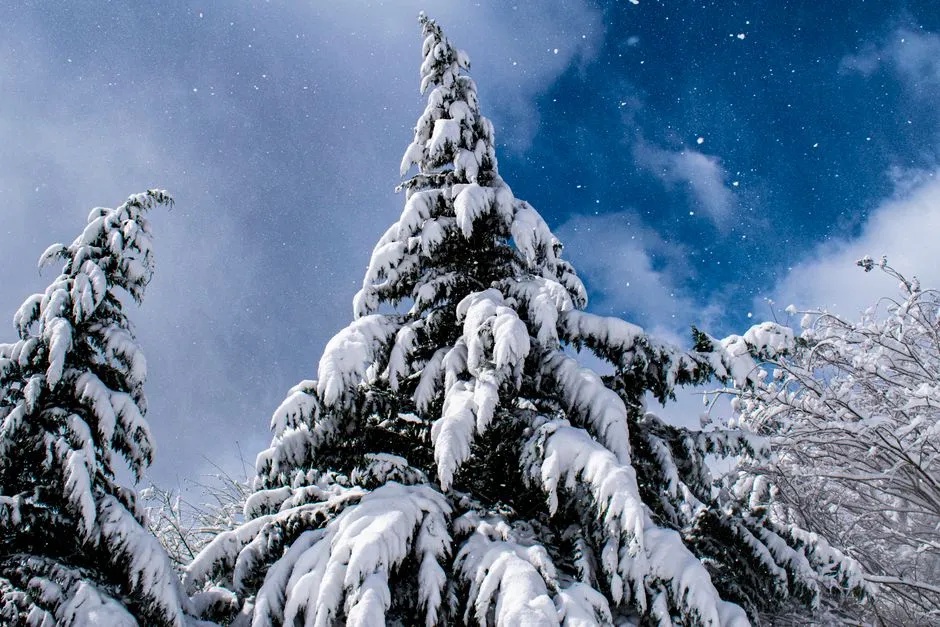 Cloud Patterns and “Snow Sky” Light (Image Credits: Pexels)