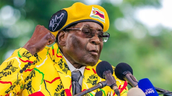 “Zim has no means to confront Mugabeism”