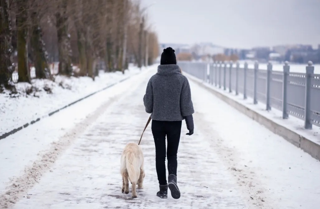 Walking in Winter_senivpetro.webp