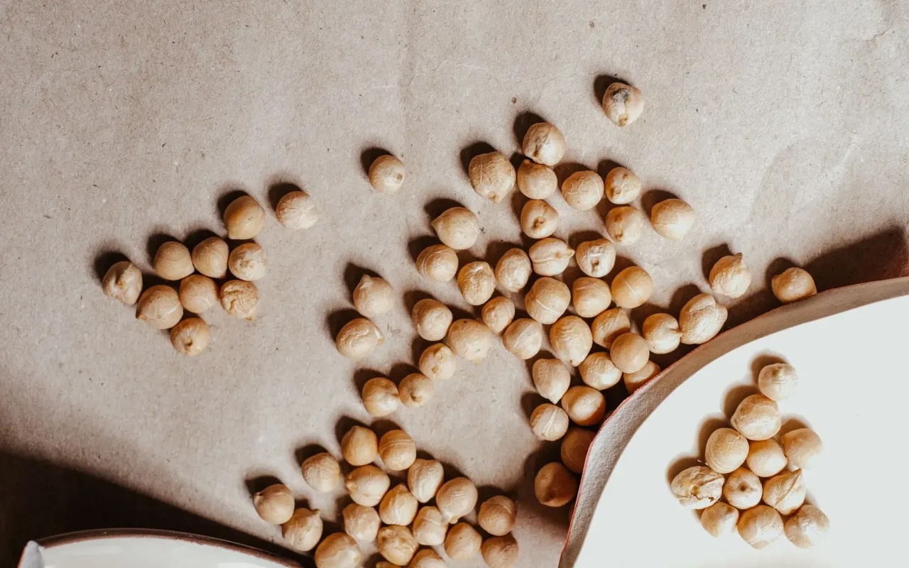 Plant Based Protein Sources That Actually Keep You Full