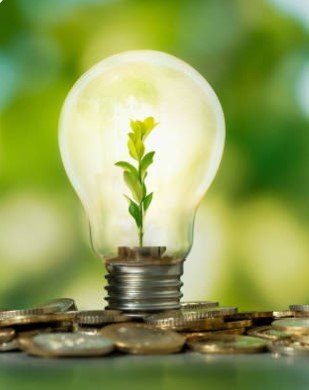 OEEC lightbulb.jpg