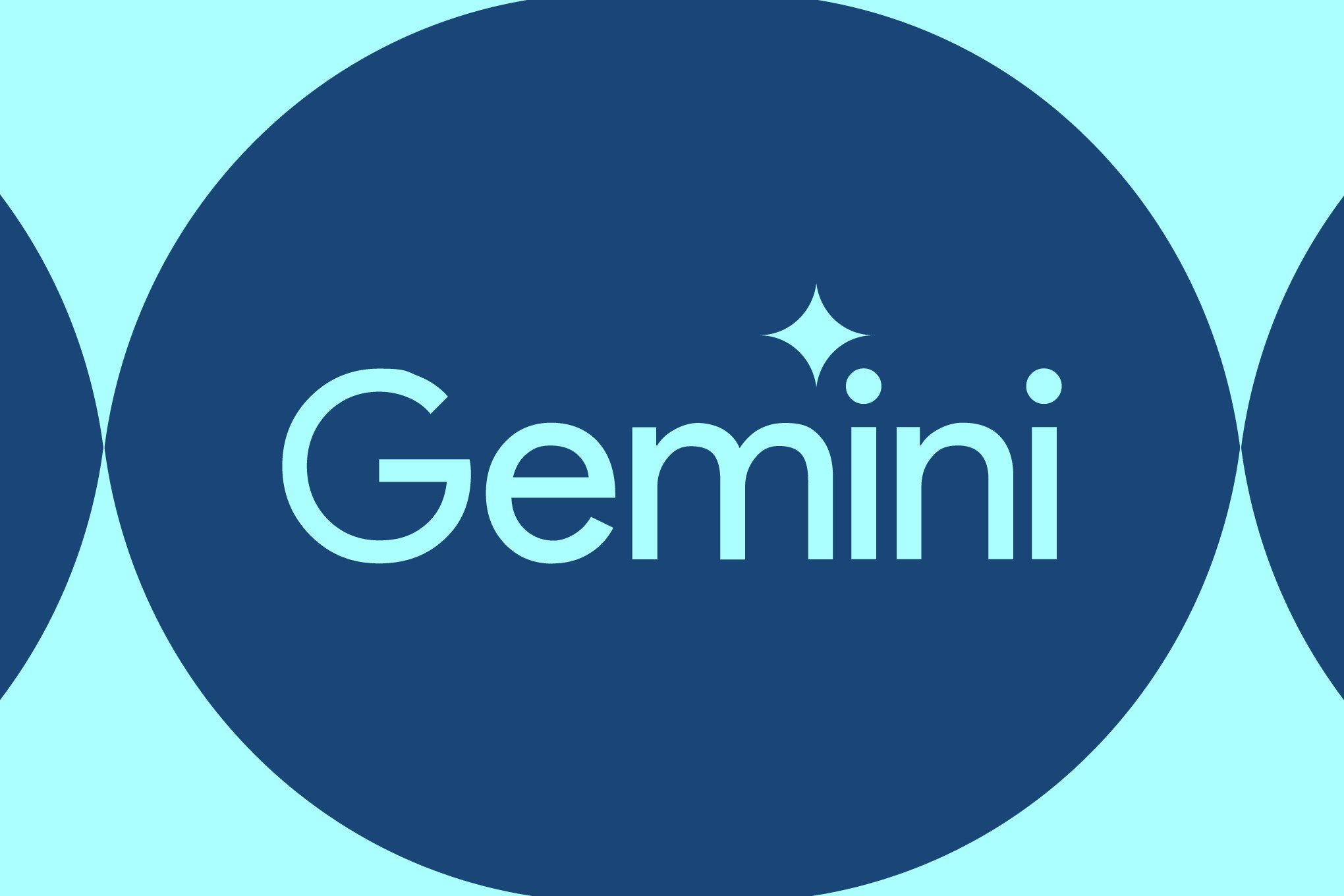 STK255_Google_Gemini_B_474198