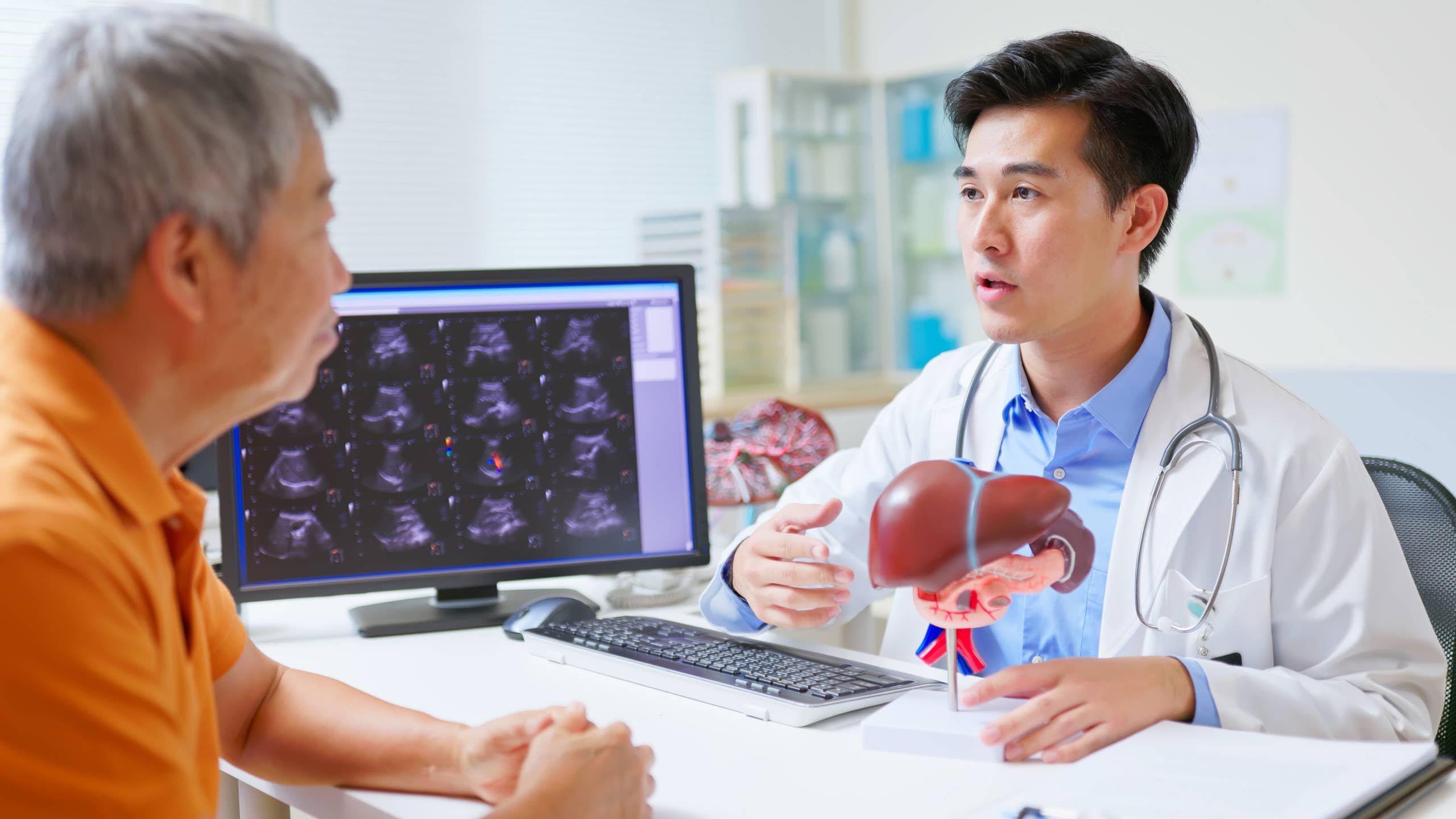 Man working with model of liver.