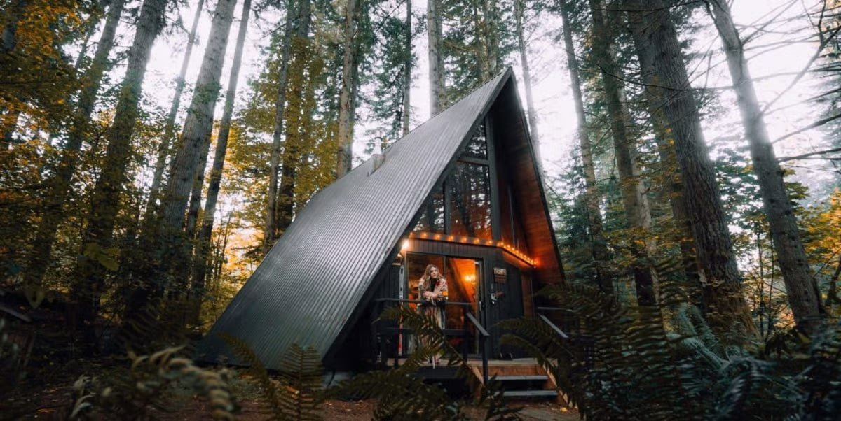 An A-frame cabin glowing among tall trees and ferns