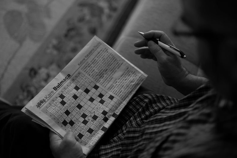 Puzzles & Brain Games