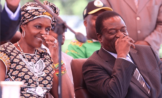 grace mugabe destroying zanu pf zwnews.com