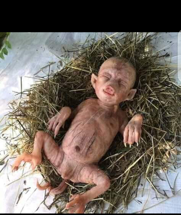 de46683233200fb6c2369c91006c4d47?quality=uhq&resize=720