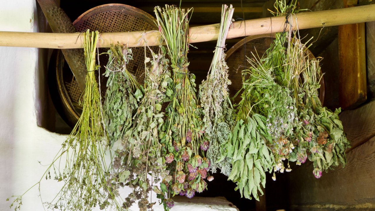 bunches of dried healing herbs