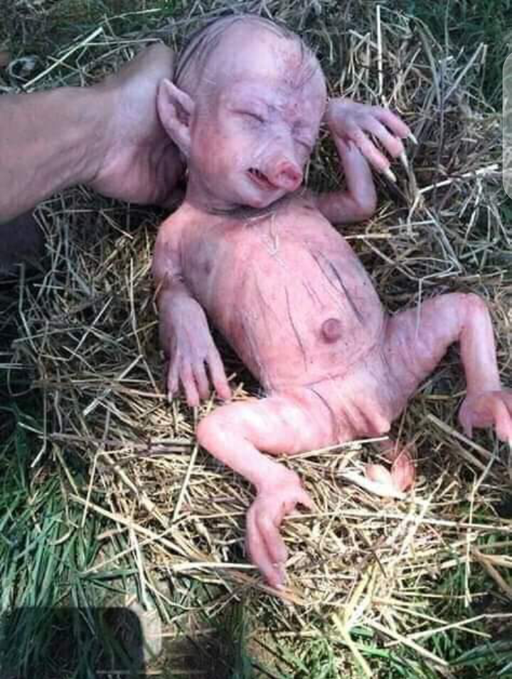 e7d7f8e2e5990ff509ccfdf43e6670a0?quality=uhq&resize=720