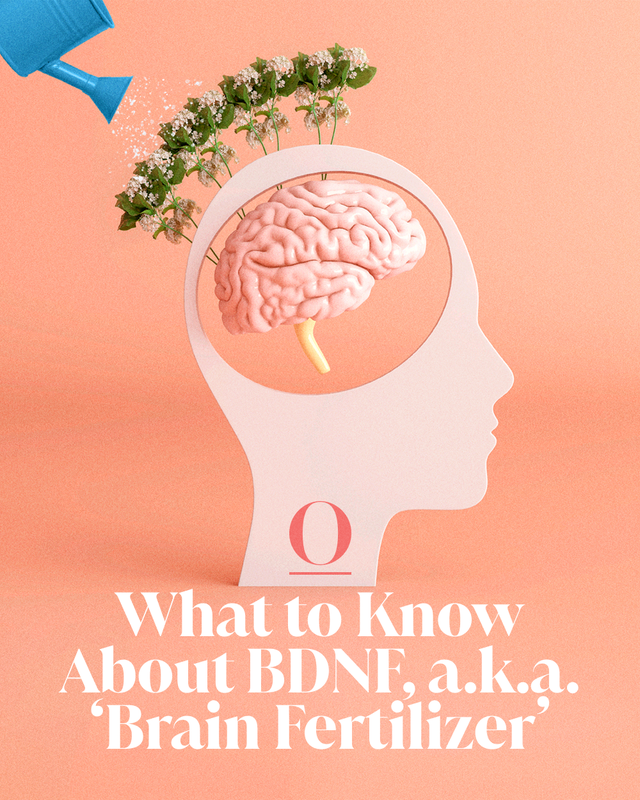 brain with flowers growing, with the text, "what to know about bdnf, a.k.a 'brain fertilizer'"