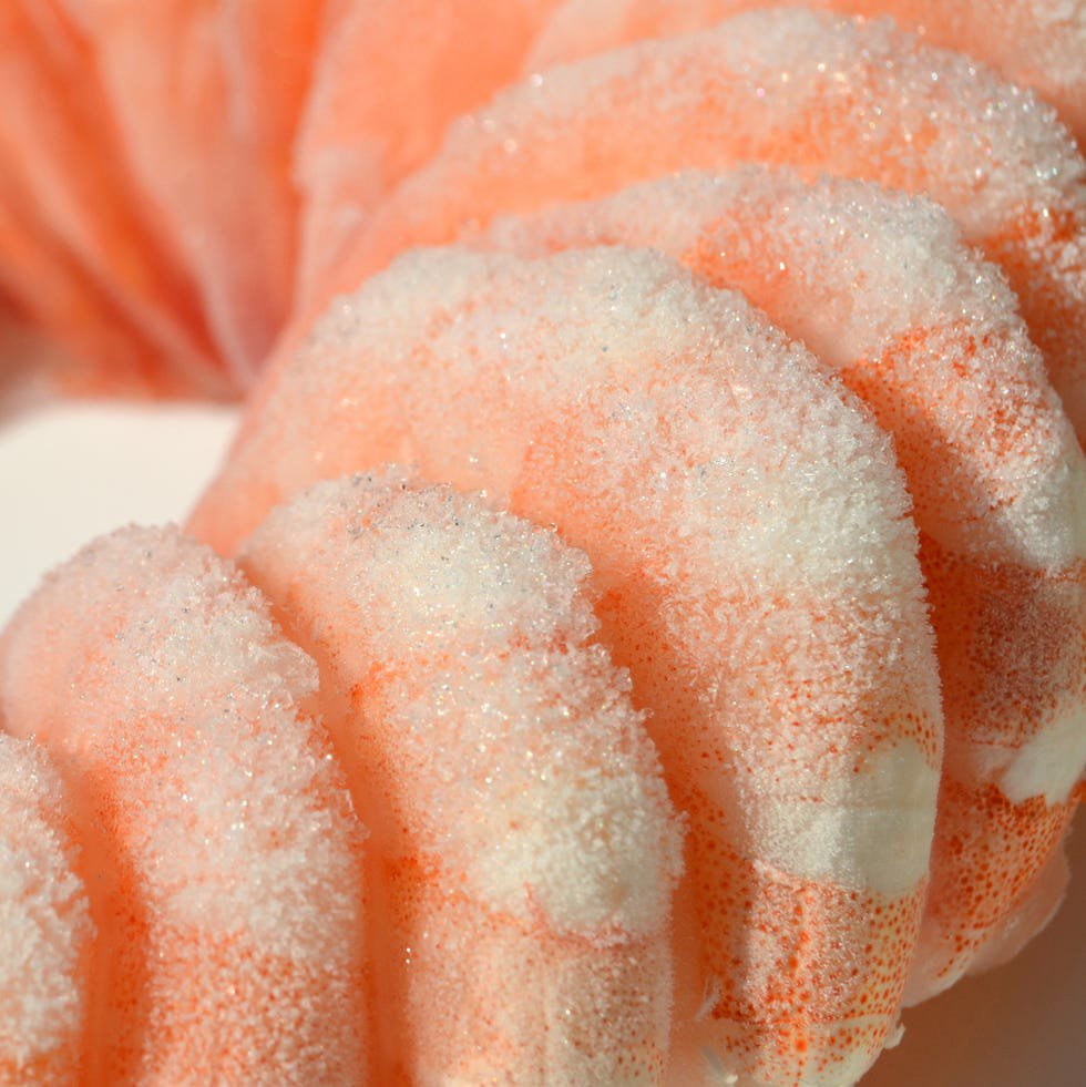 Frozen prawns in a circle