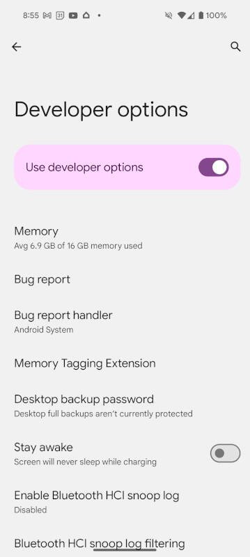 The Android Developer Options page.
