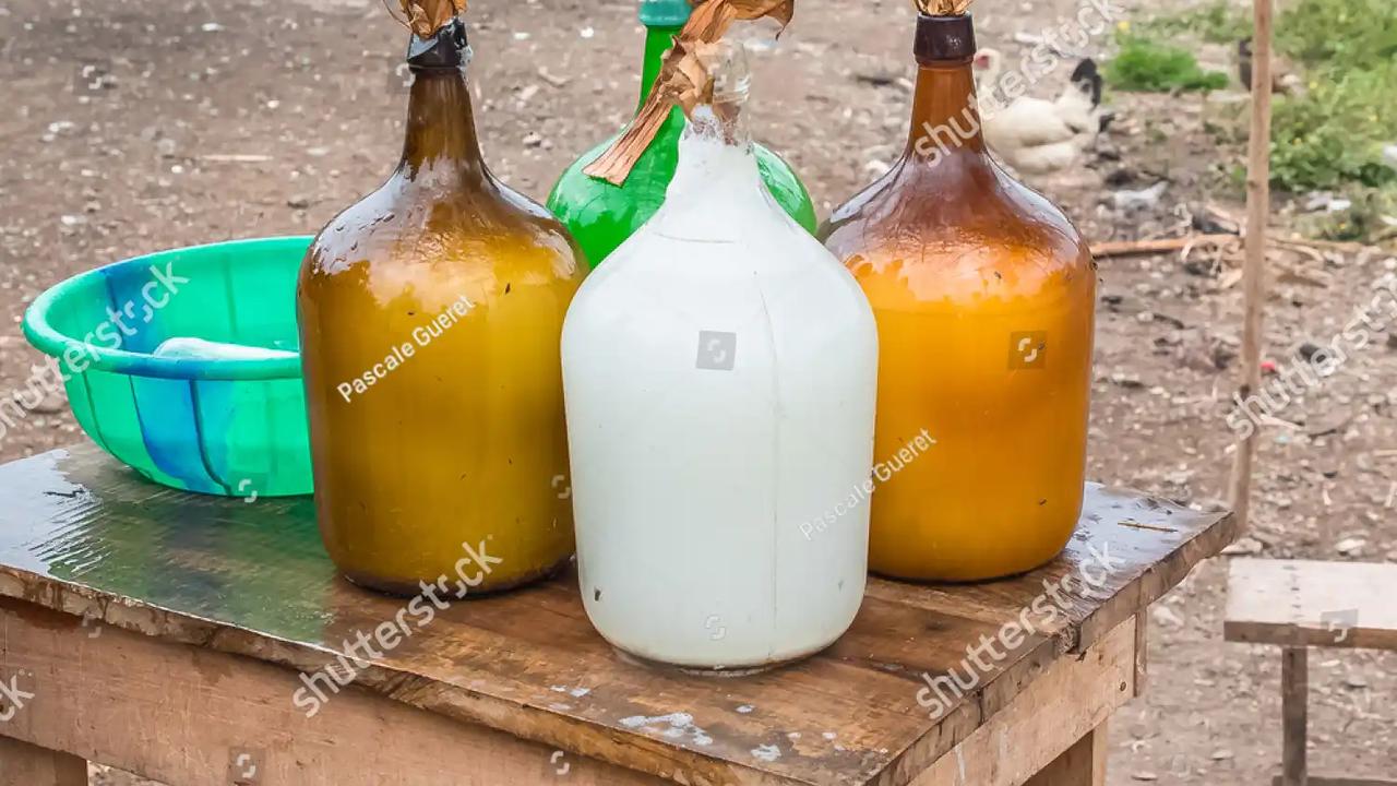 Check Out The Different Types Of Palm Wine And Their Health Benefits