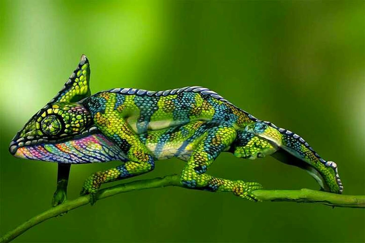 See Pictures Of Two Women That Look Like A Chameleon