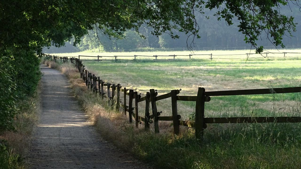 Wandertag auf der Hinsbecker Heide – Kreis Viersen, Stadt Nettetal und Naturpark Schwalm-Nette laden ein