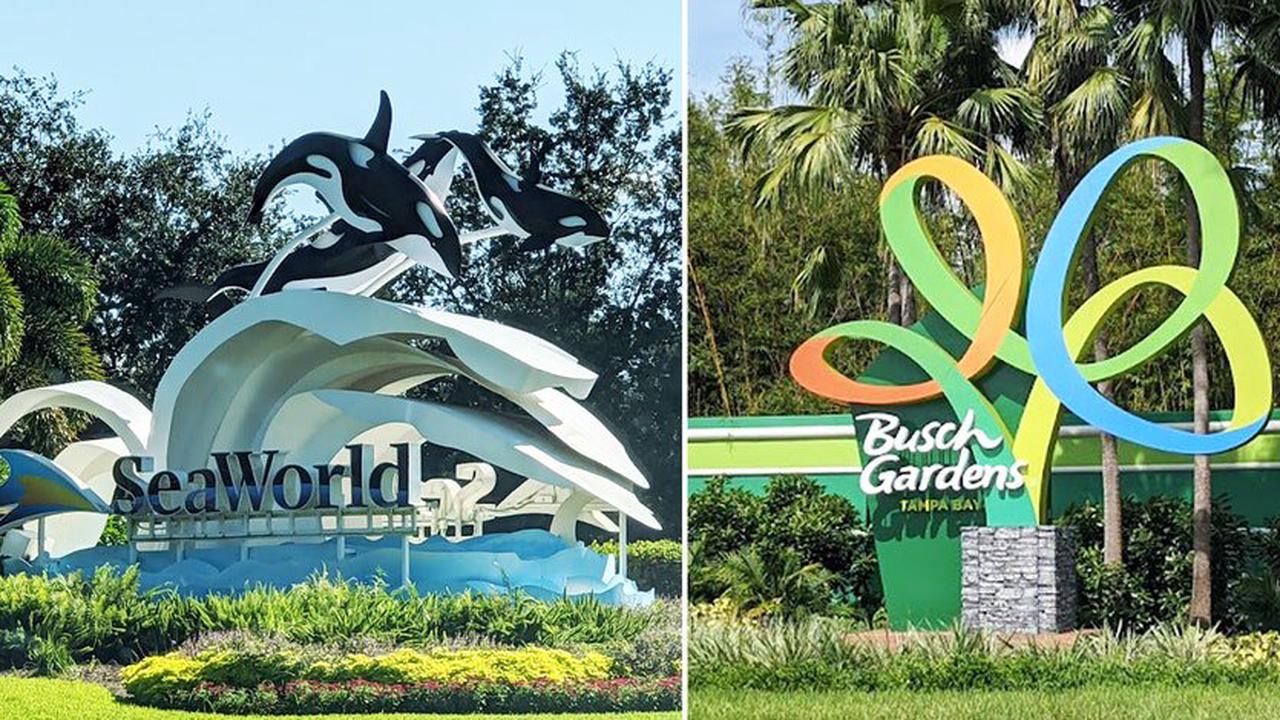 Busch Gardens, SeaWorld offer free tickets to military members and
