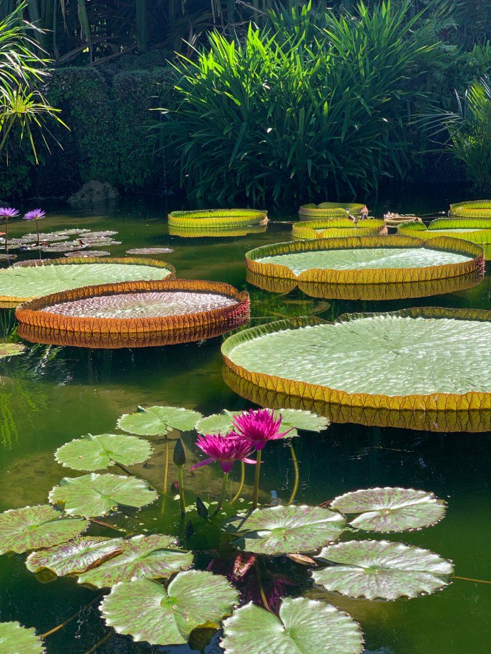 Best Of Miami 21 According To Me Opera News