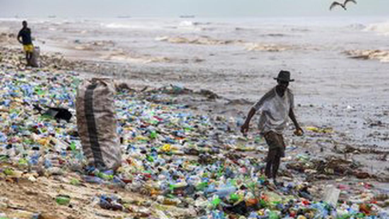 Kampf gegen Kunststoff: wie die Wissenschaft die Plastik-Flut eindämmen will