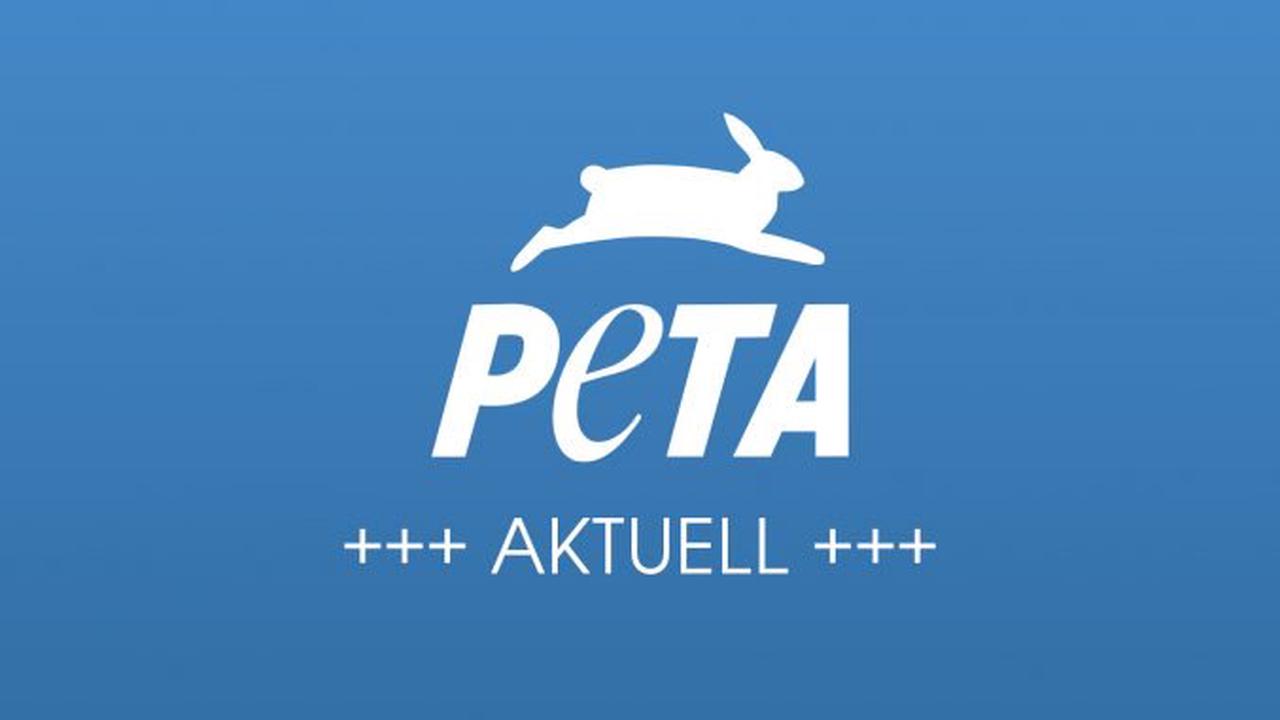 Termineinladung: „EgyptAir: Stoppt Affentransporte in Versuchslabore!“ –  PETA demonstriert am Frankfurter Flughafen