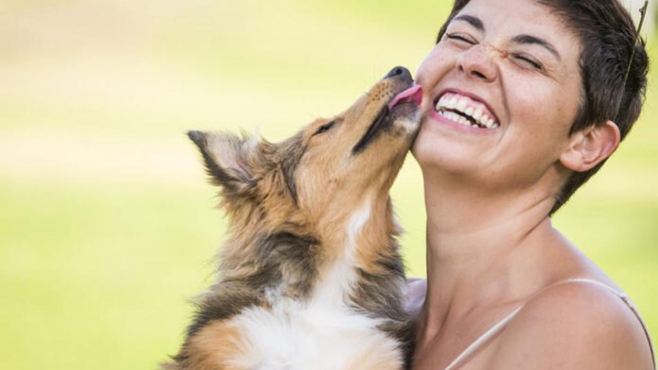 Deutsche wollen anstatt ein Kind lieber einen Hund – laut Studie