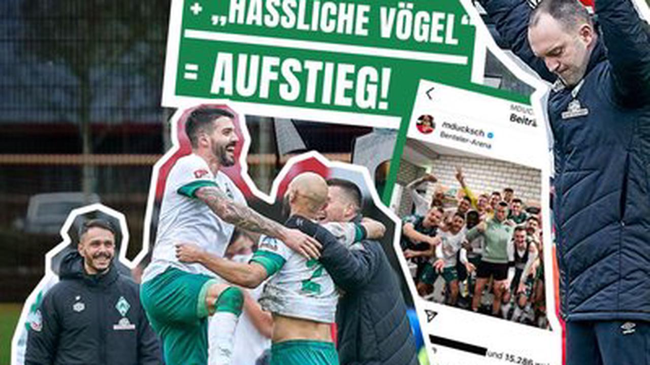 Werder Bremen-Live-Ticker gegen PEC Zwolle: Testspiel heute live! | Fussball