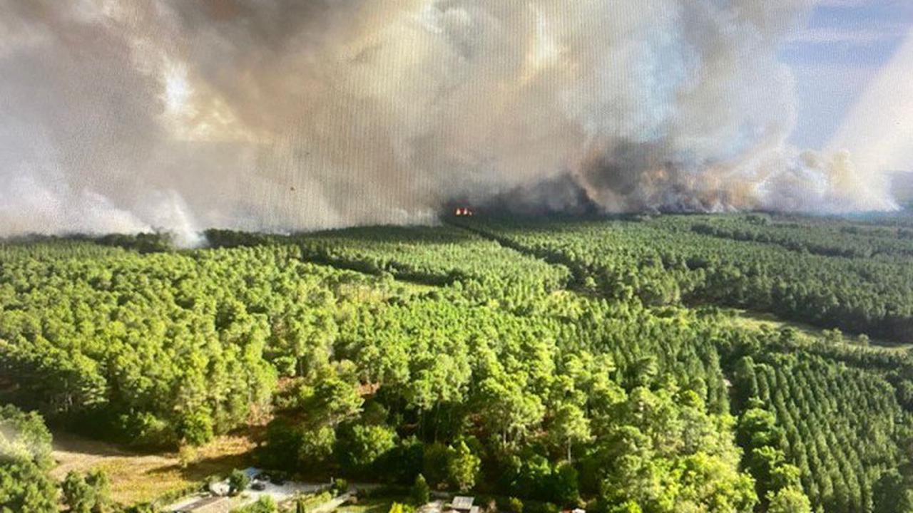 À L’Île-d’Olonne, 500 m² de végétation brûlés après un incendie près d’une ligne à haute tension
