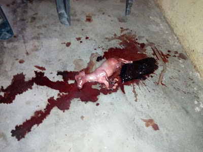 woman delivers goat port harcourt.jpg