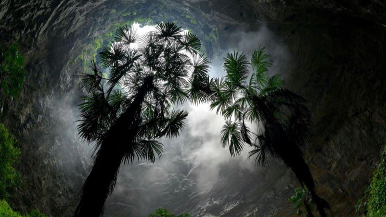 Découverte d’un gouffre géant abritant une forêt primitive en Chine