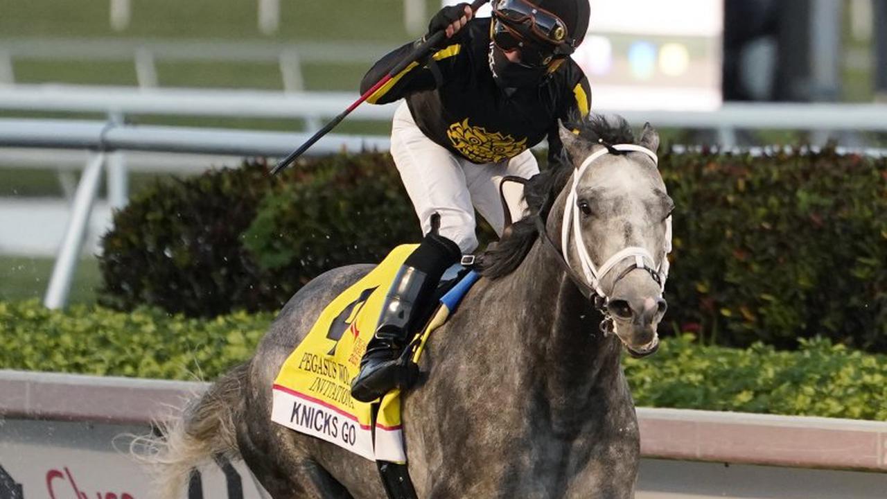 belmont park odds and picks metropolitan handicap more belmont stakes undercard opera news