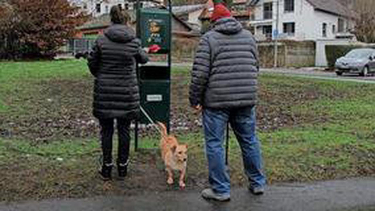 Erhöhung der Hundesteuer in Gehrden: Will die Stadt Hundehalter ausspionieren lassen?