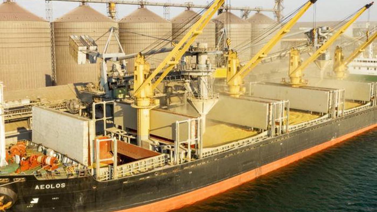 Reuters: в Турции задержали российский корабль, перевозивший украинское зерно