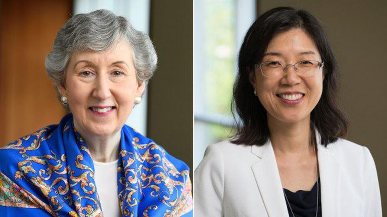 Newswise: Two Johns Hopkins School of Nursing Faculty Named to Endowed Chairs
