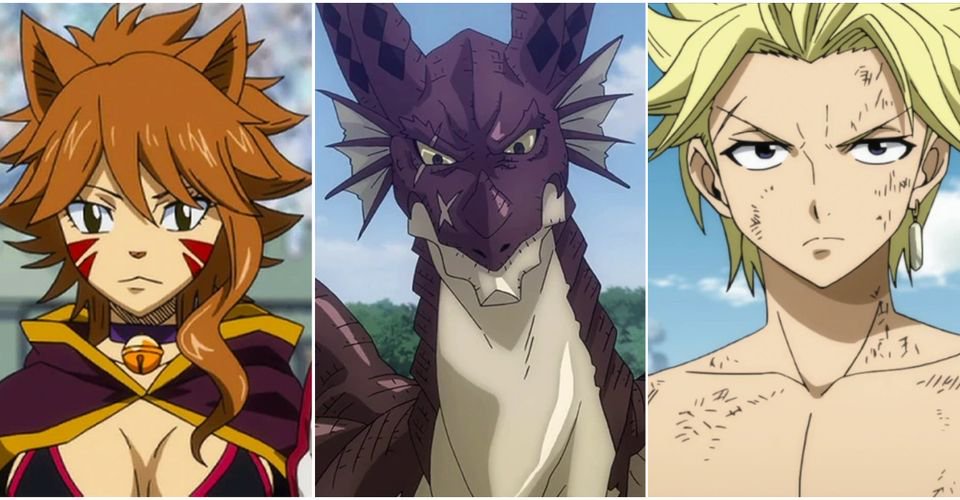 Fairy Tail 10 Most Likable Characters Who Aren T In The Fairy Tail Guild Opera News
