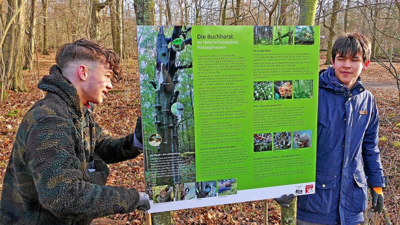 Neue Öko-Schilder zeigen: Im Totholz steckt das pralle Leben
