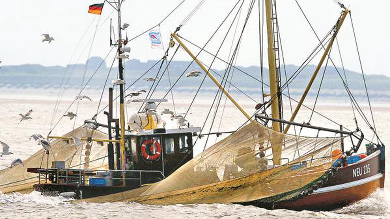 Fischerei in der Nordsee: Es geht um die Existenz