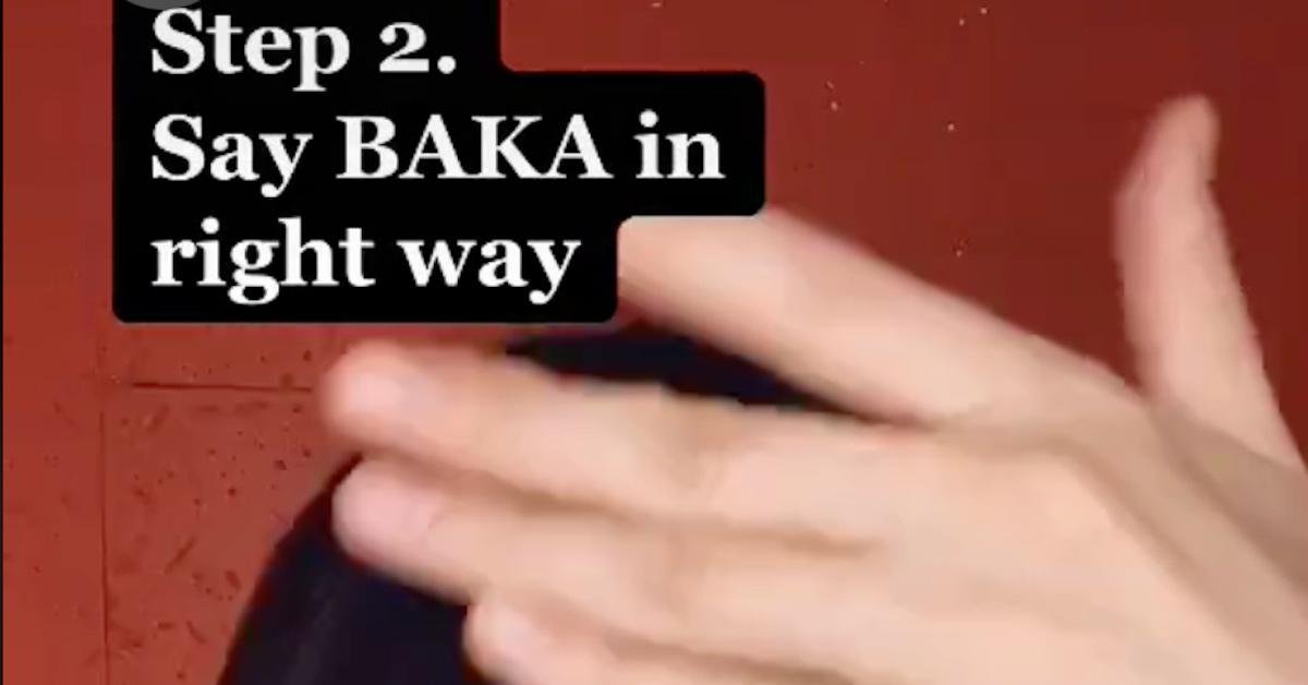 The Word "Baka" on TikTok Is Japanese and Has a Very Insulting