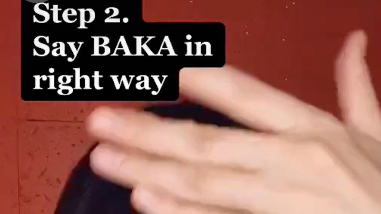 The Word "Baka" on TikTok Is Japanese and Has a Very Insulting