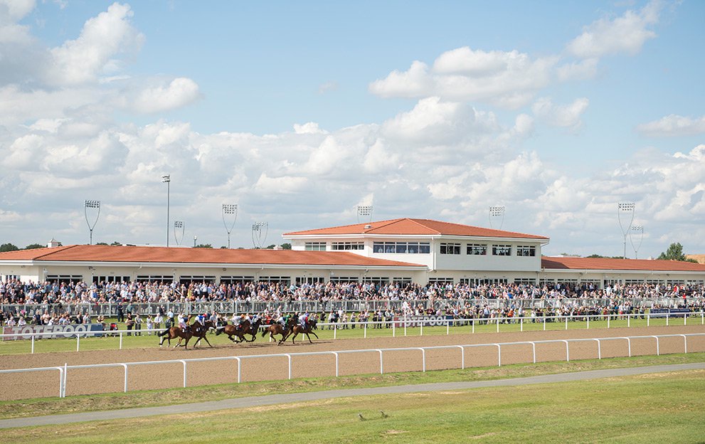 Horse Racing Tips A Classy 7 1 Shot Leads Our Chelmsford Selections Today Opera News