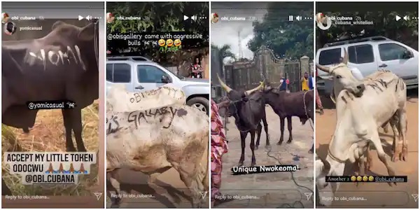 Obi Cubana received about 96 cows for his mother's burial.