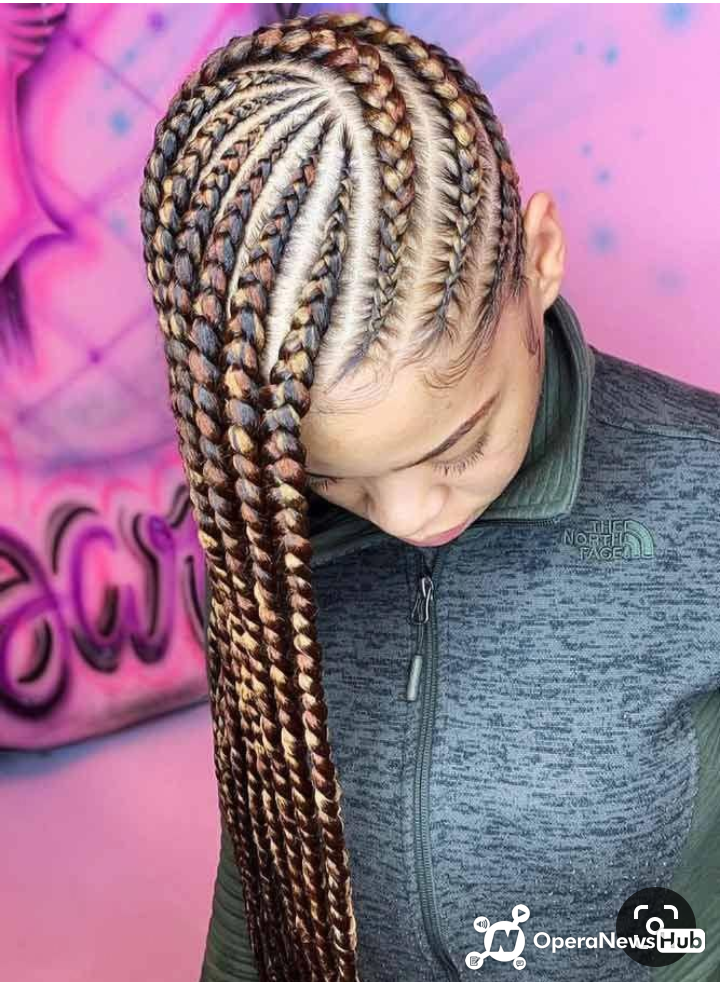 Oustanding Color Yarn Braids Hairstyles To Copy Now Operanewsapp