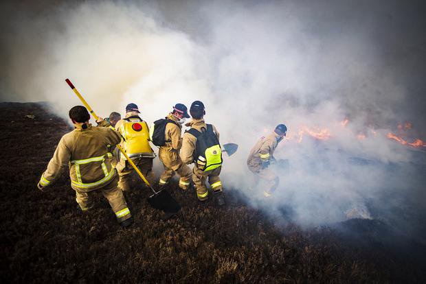 Mourne Mountains Wildfire Is Causing Horrifying Damage Says Environment Minister Edwin Poots Opera News