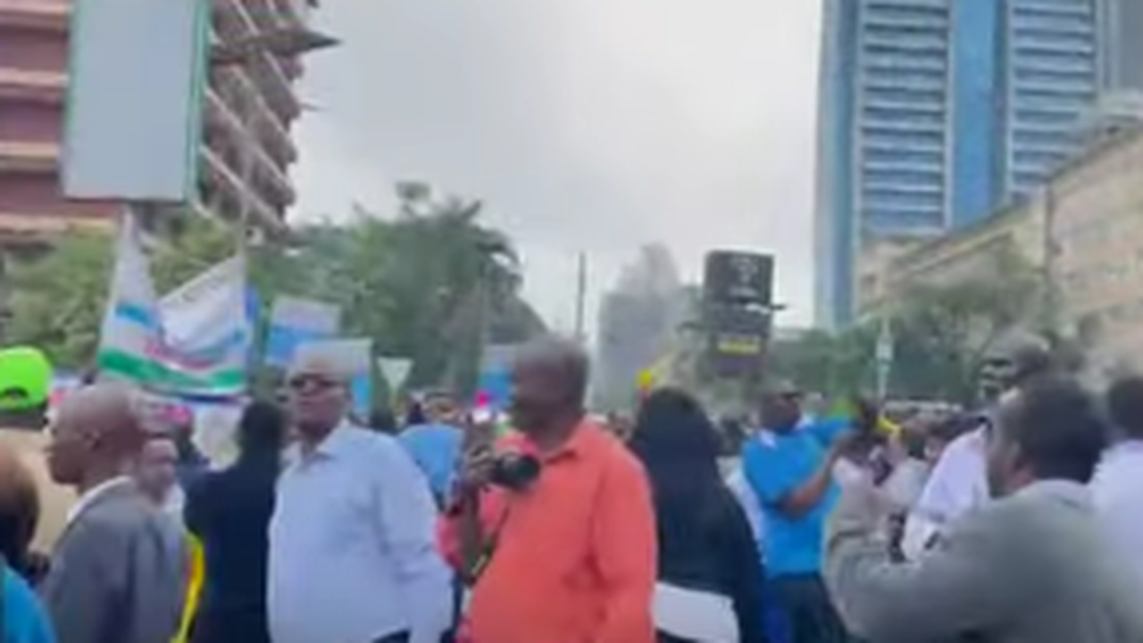 Protesting Public Servants Applaud & Cheer Over What Popular Azimio MP Said On Monday (VIDEO)