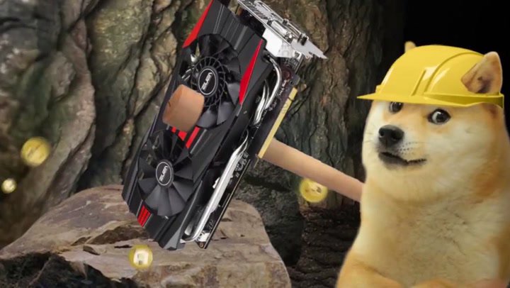 Shiba Inu Coin Analyst Warns New Doge Token Has No Real Purpose Opera News