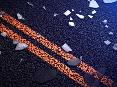 Driver Severely Injured 3 Animals Killed In Aspca Transport Van Crash Opera News